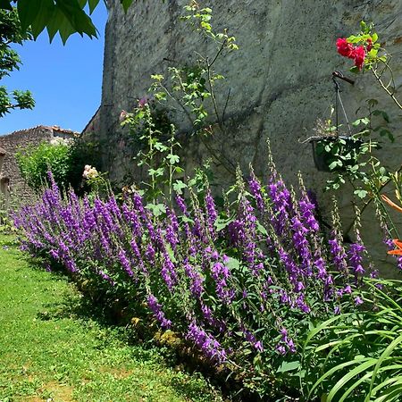 The Cool Lounge A Coulonges - Charente Bed & Breakfast Luaran gambar