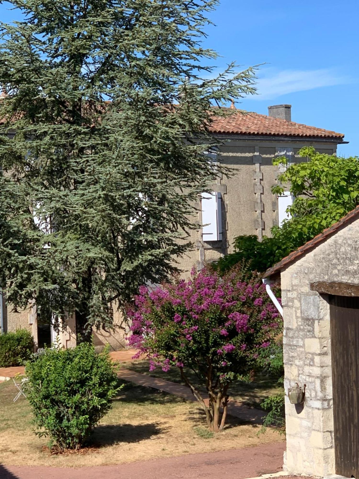 The Cool Lounge A Coulonges - Charente Bed & Breakfast Luaran gambar
