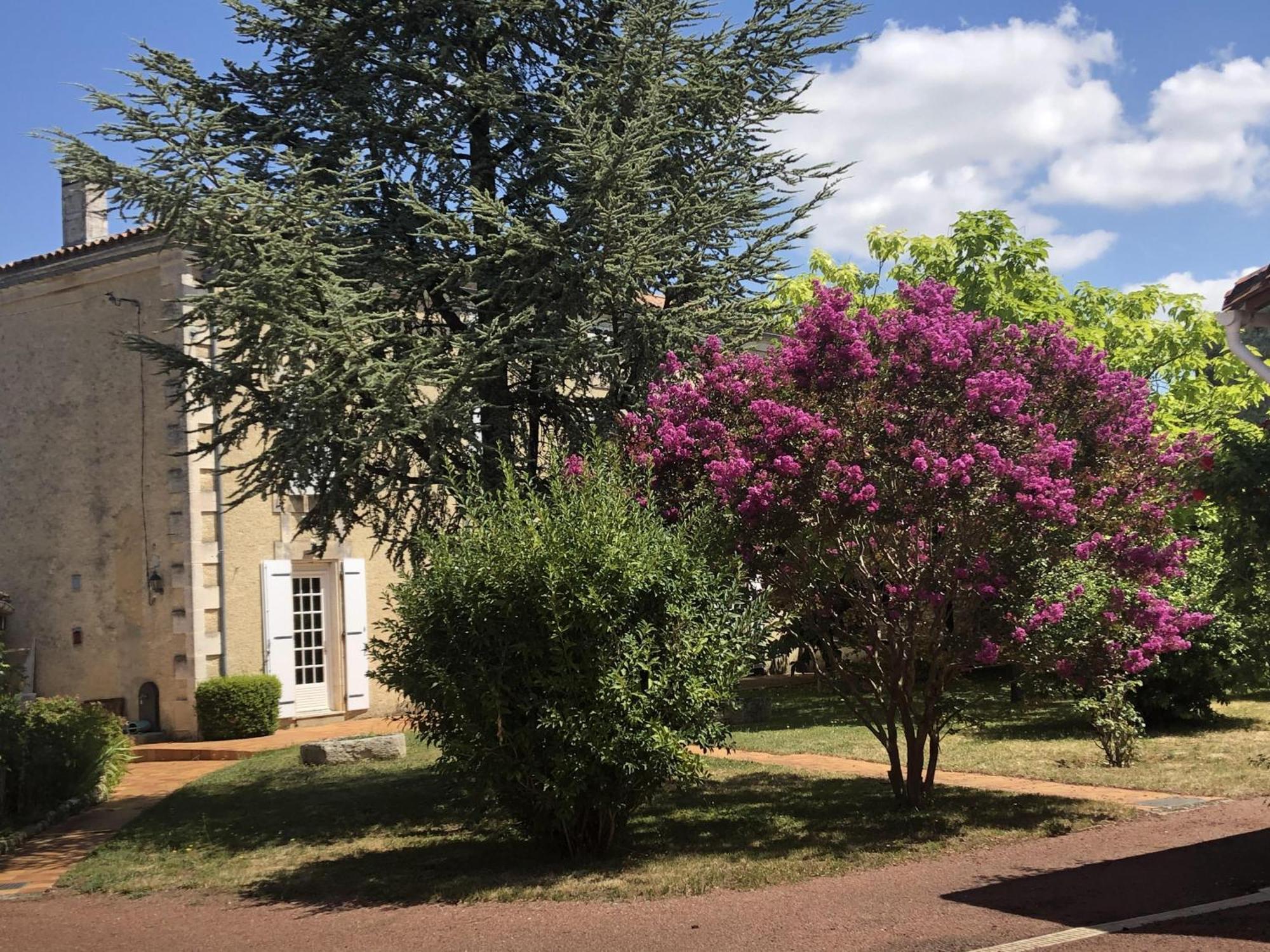 The Cool Lounge A Coulonges - Charente Bed & Breakfast Luaran gambar
